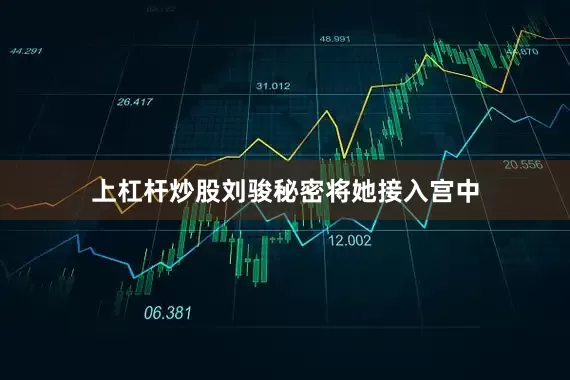 上杠杆炒股刘骏秘密将她接入宫中